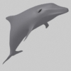 Archibit Generation s.r.l. share 3d dolphin model for free